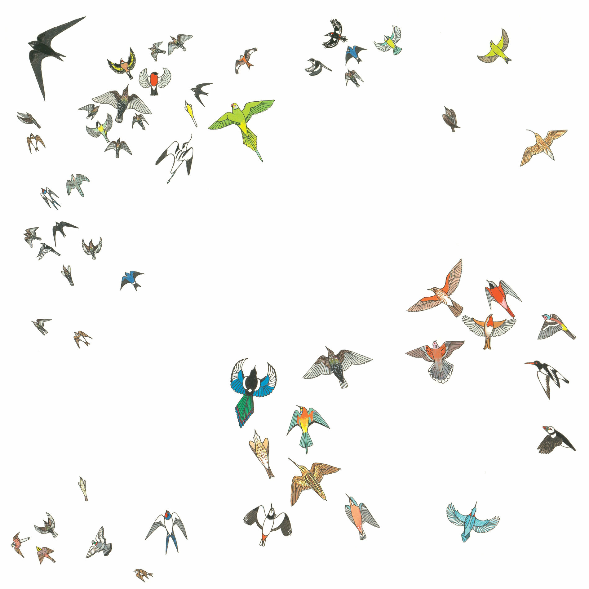 Album cover of No Fixed Point In Space