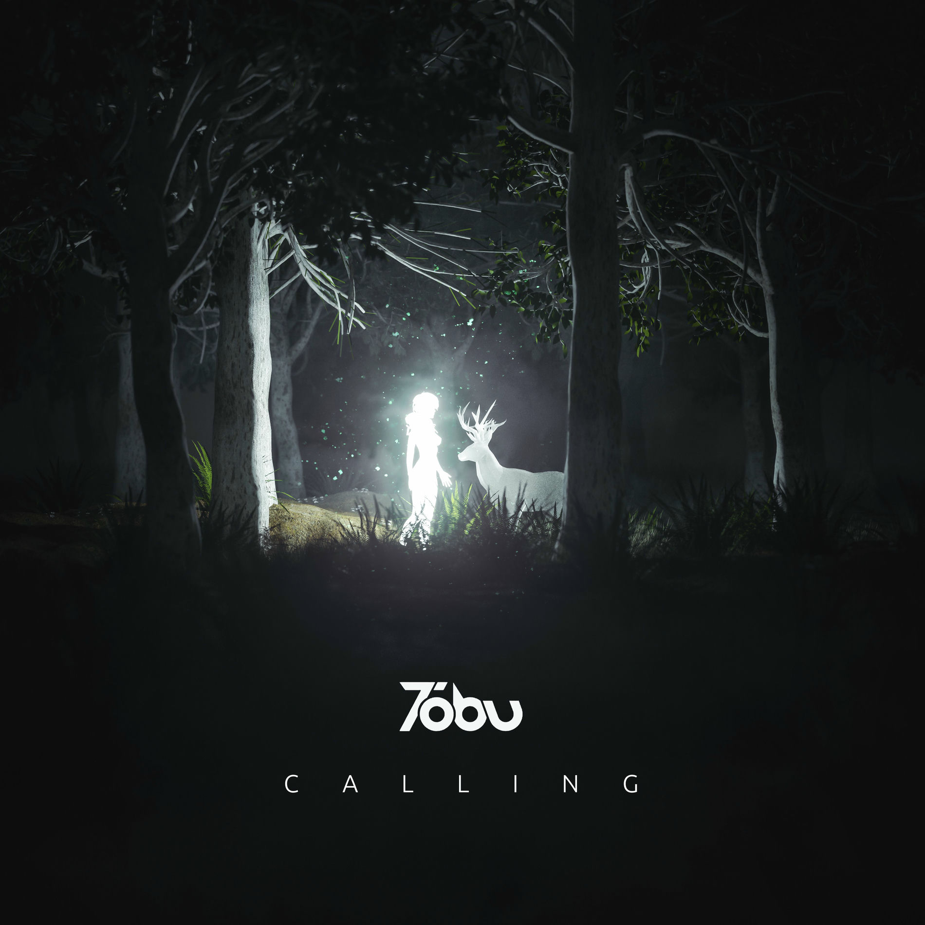 Album cover of Calling