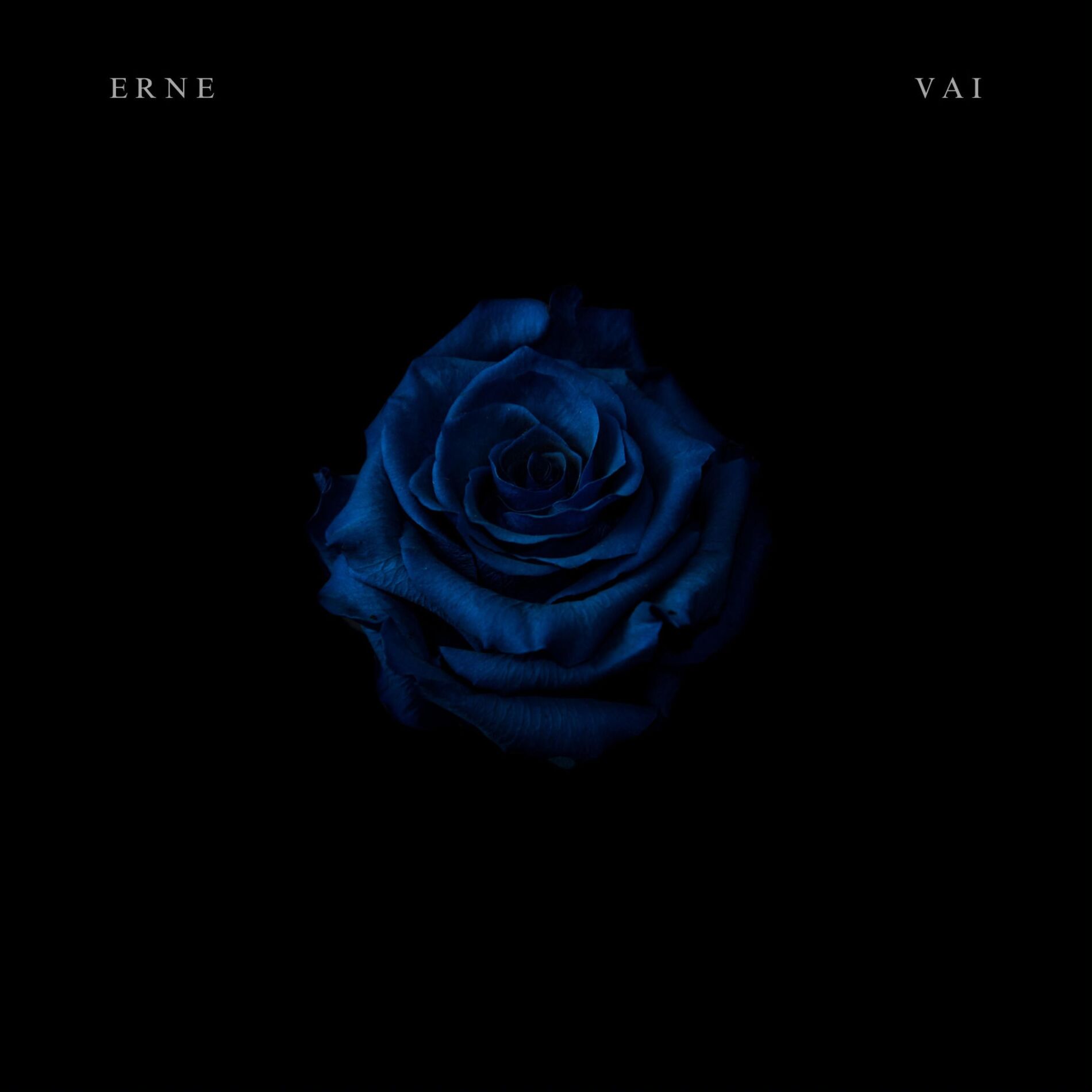 Album cover of Blessing (feat. Vai)