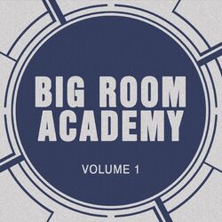 Cover of Big Room Academy