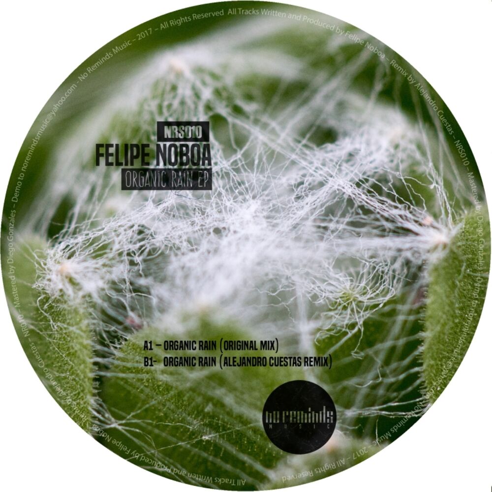 Picture of Organic Rain EP