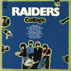 Cover of Collage