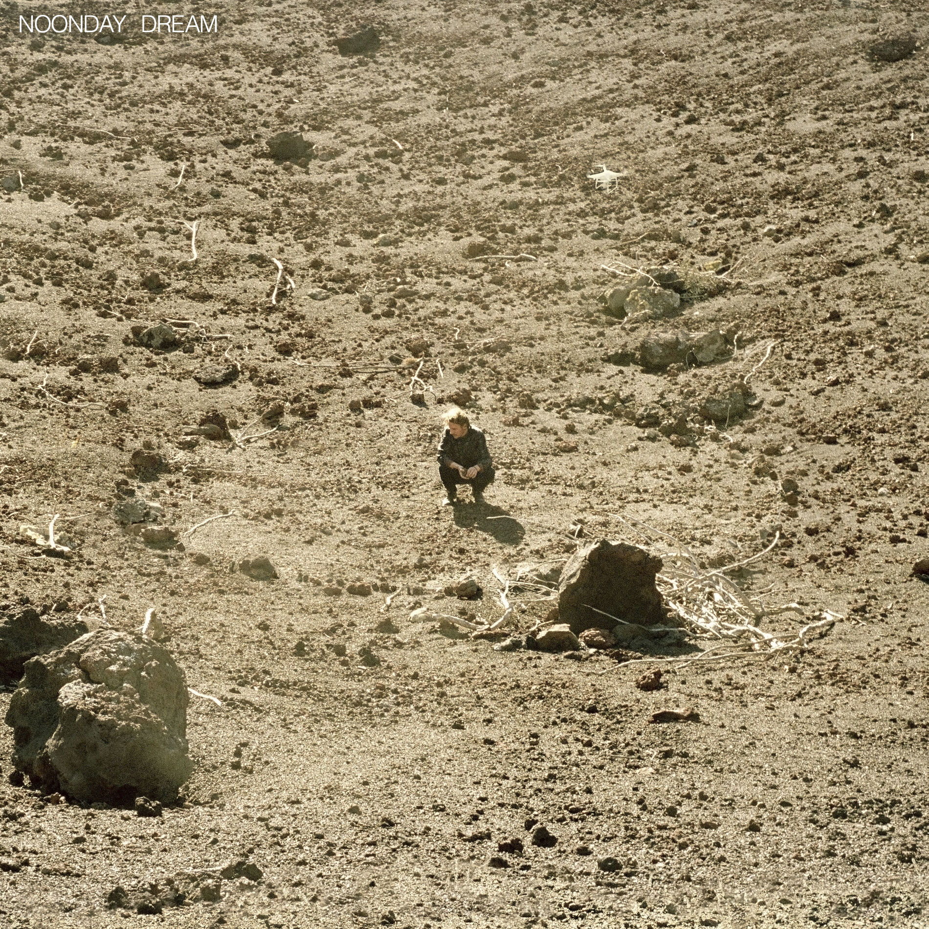 Album cover of Towing the Line