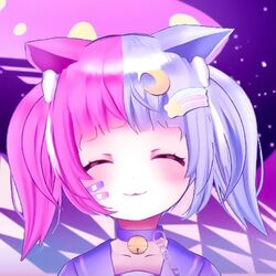 Cover of Stay Comf