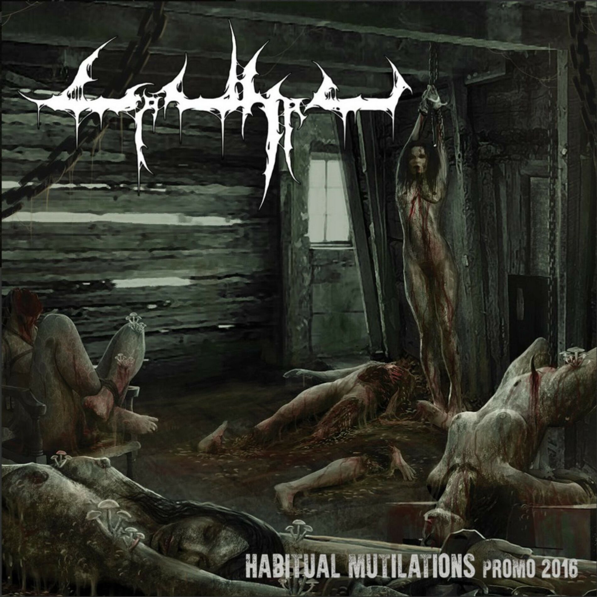 Album cover of Habitual Mutilations Promo 2016