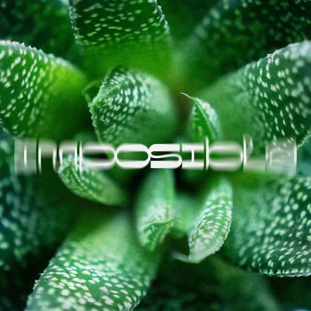 Picture of Imposible