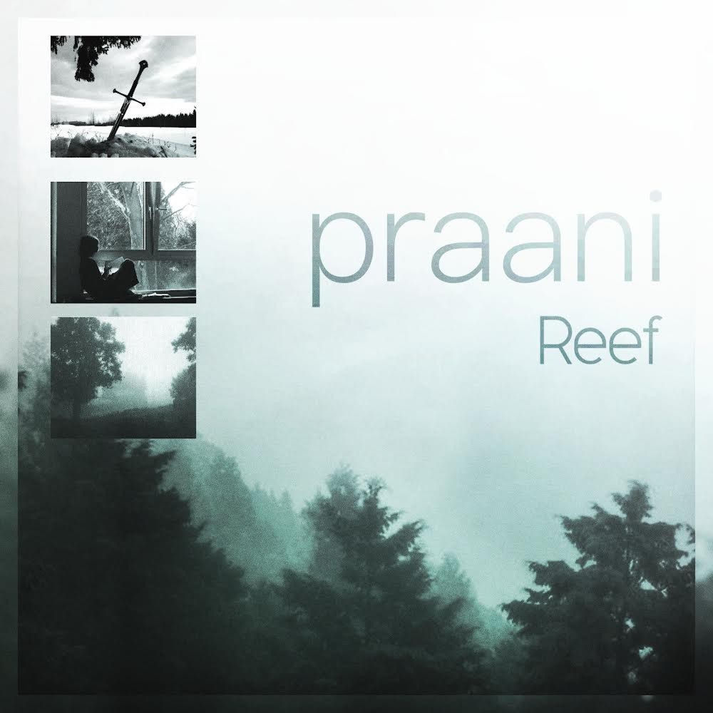 Album artwork for praani by Reef