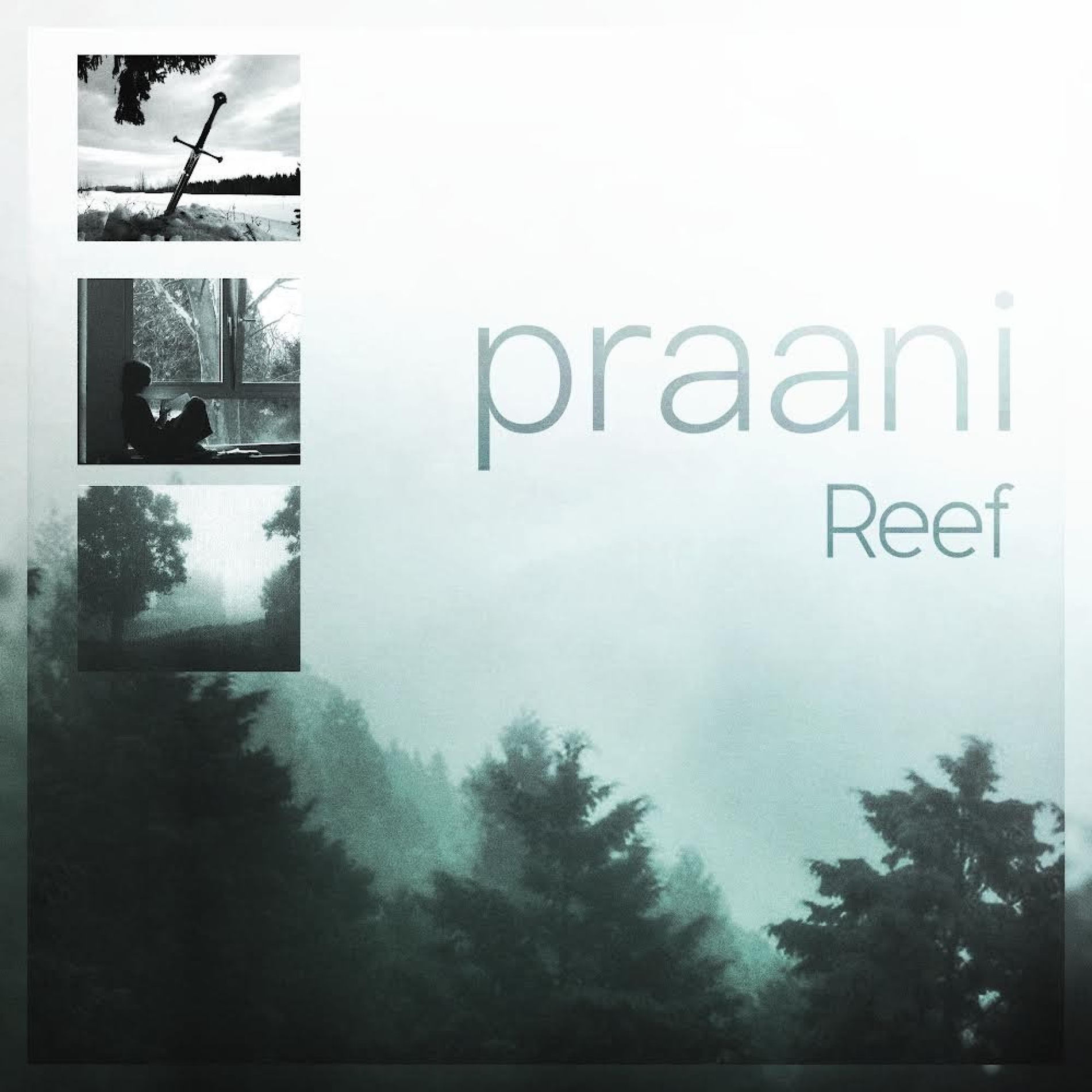 Album cover of praani