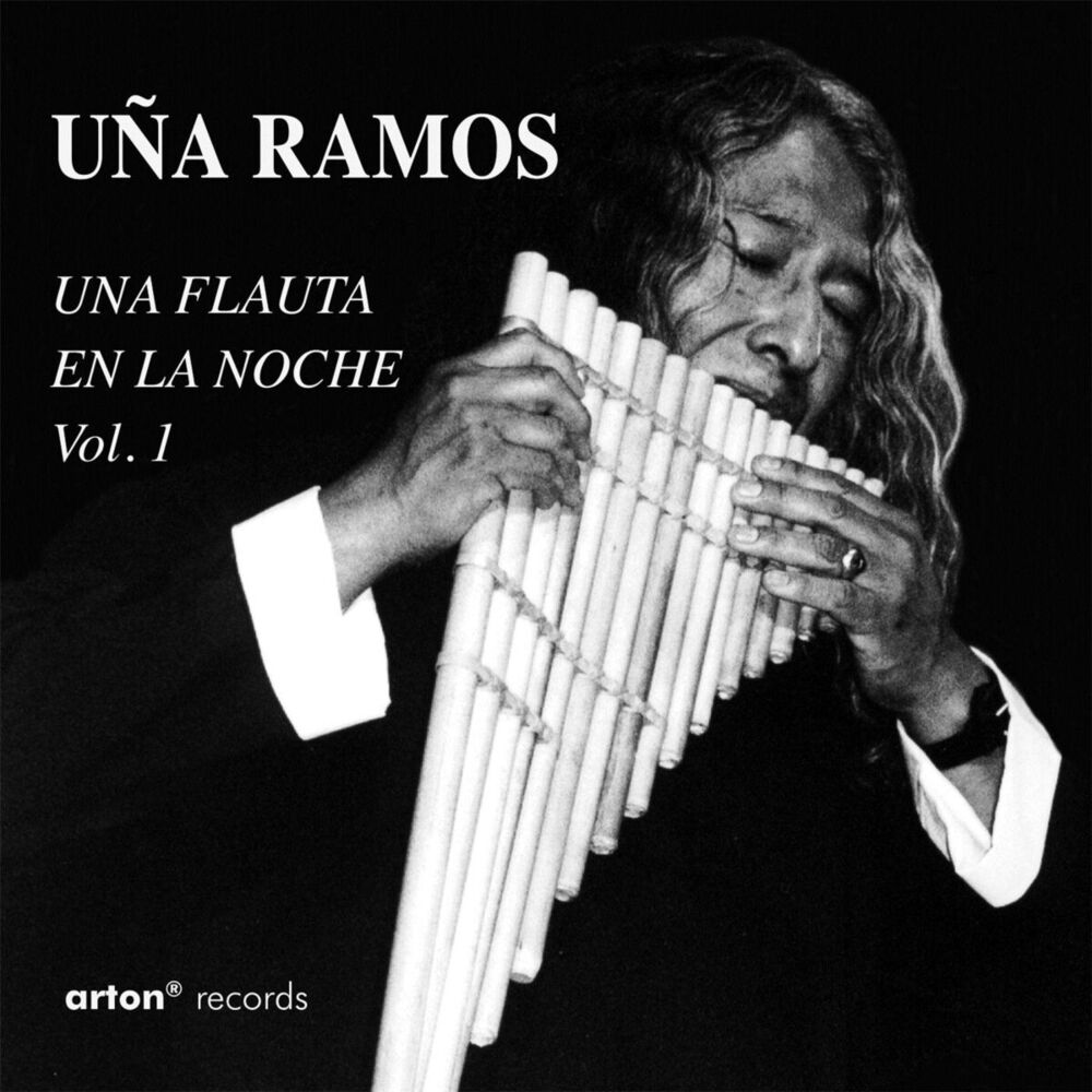 Picture of Una Flauta en la Noche, Vol. 1