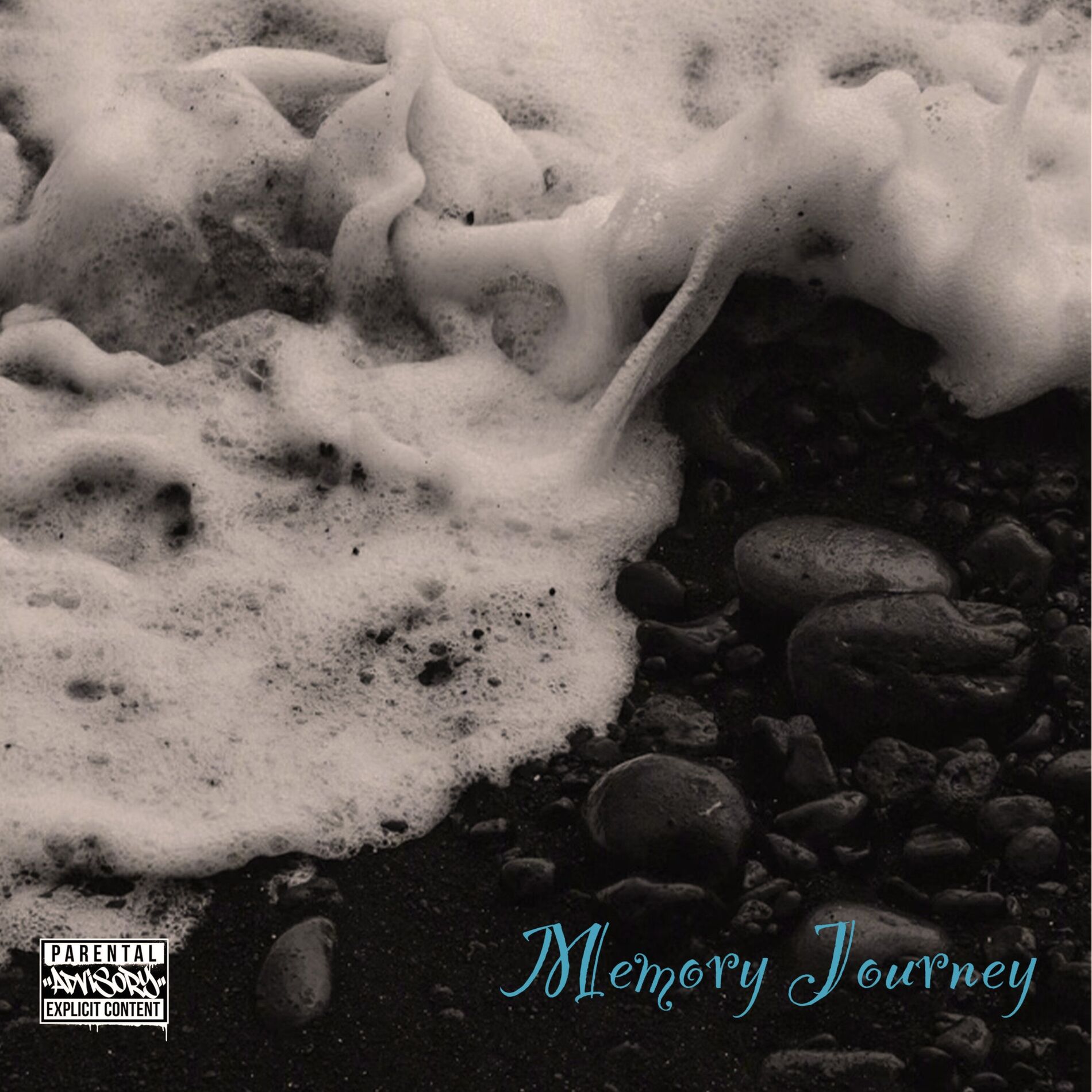 Album cover of Memory Journey