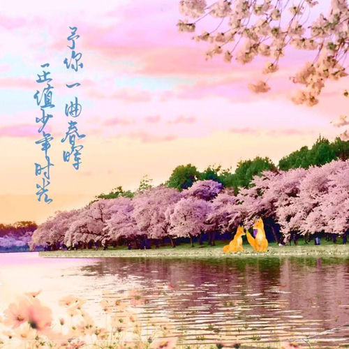 予你春晖（2023年季少一生贺原创曲）