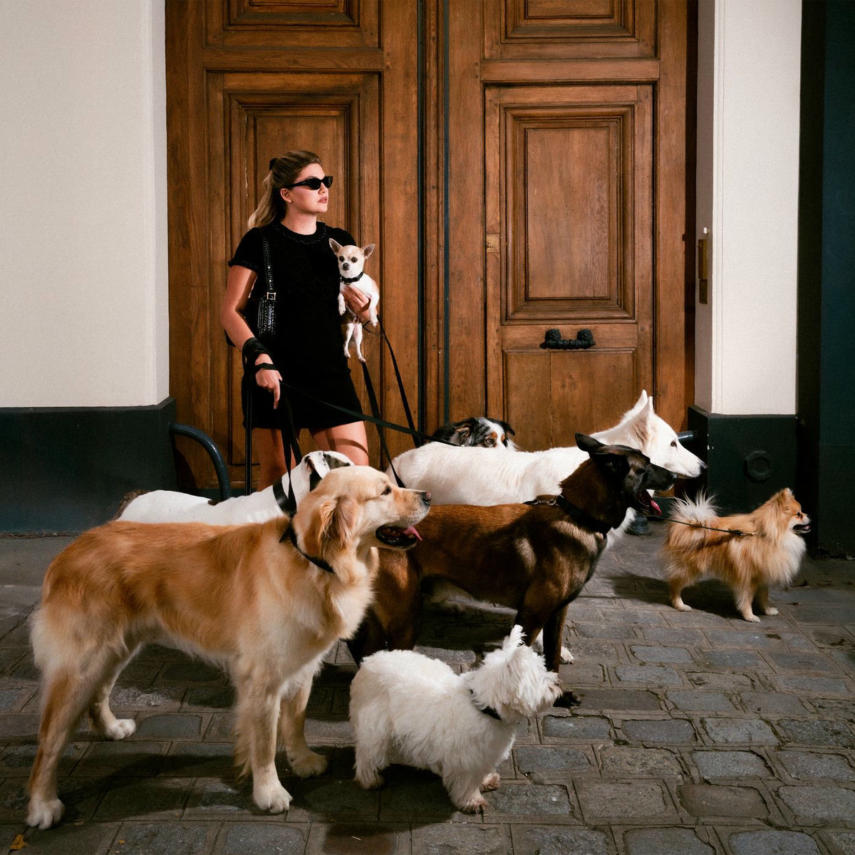 Album cover of Chiens