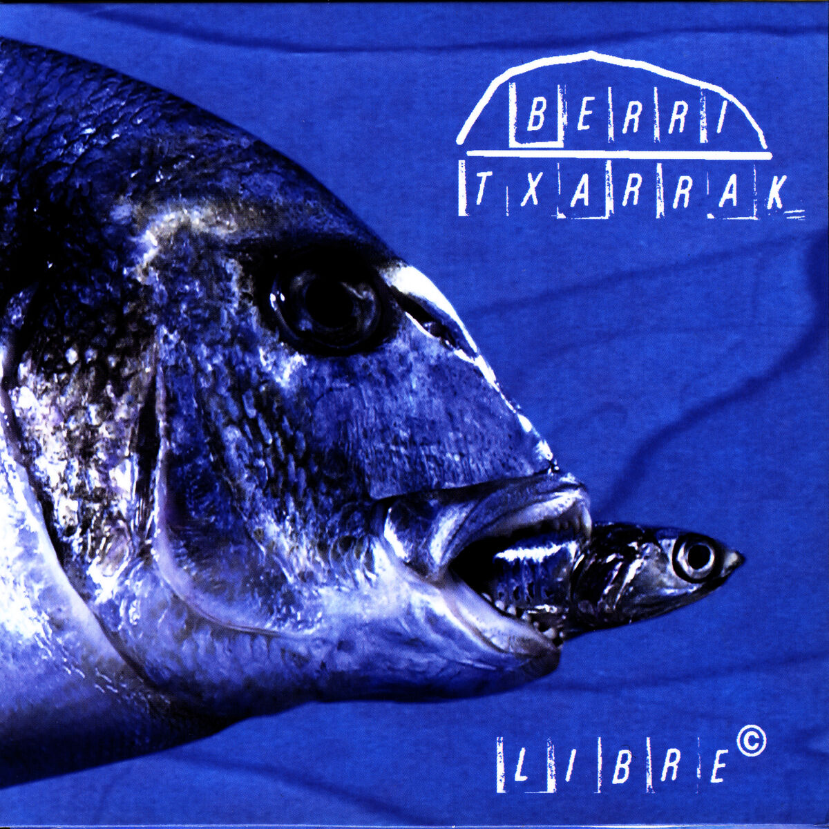 Album cover of Izena, izana, ezina