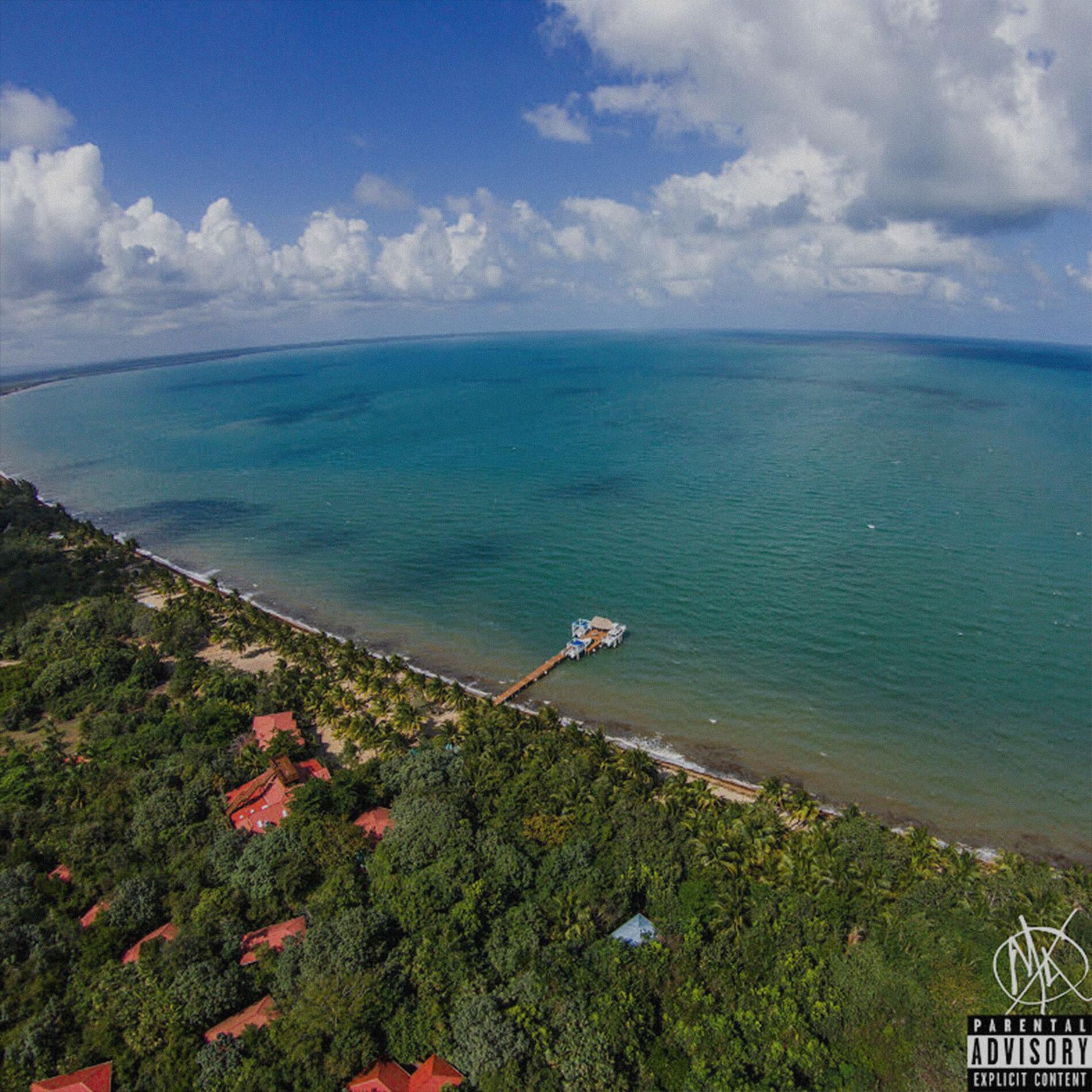 Album cover of Flee the Country (feat. Fly Anakin & Big Kahuna OG)