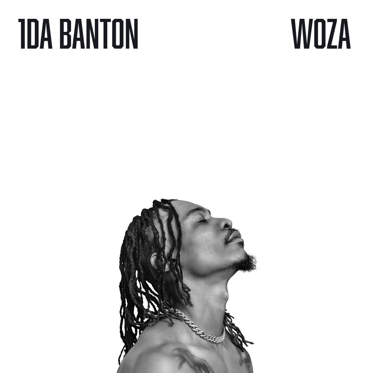 Album cover of Woza