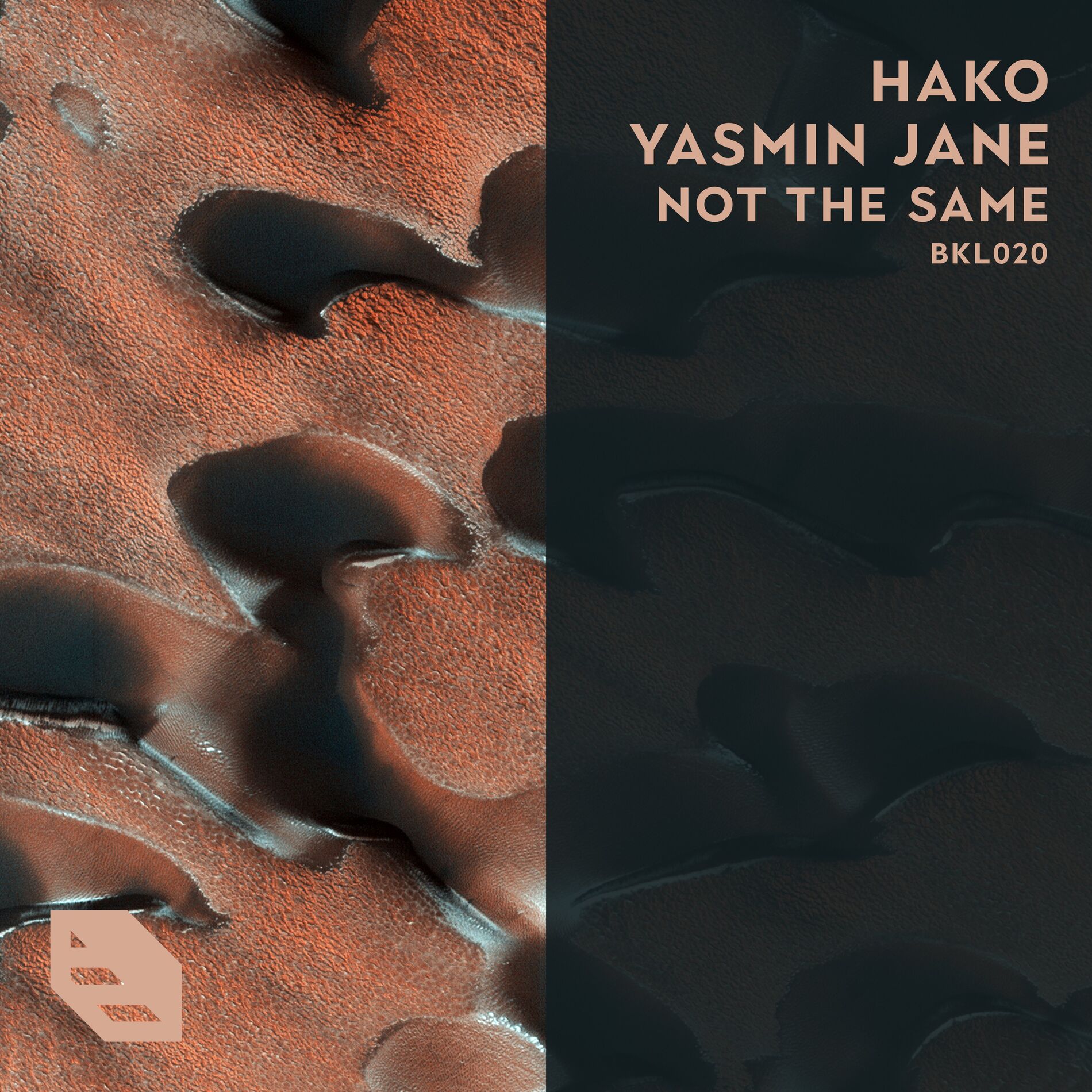 Album cover of Not The Same