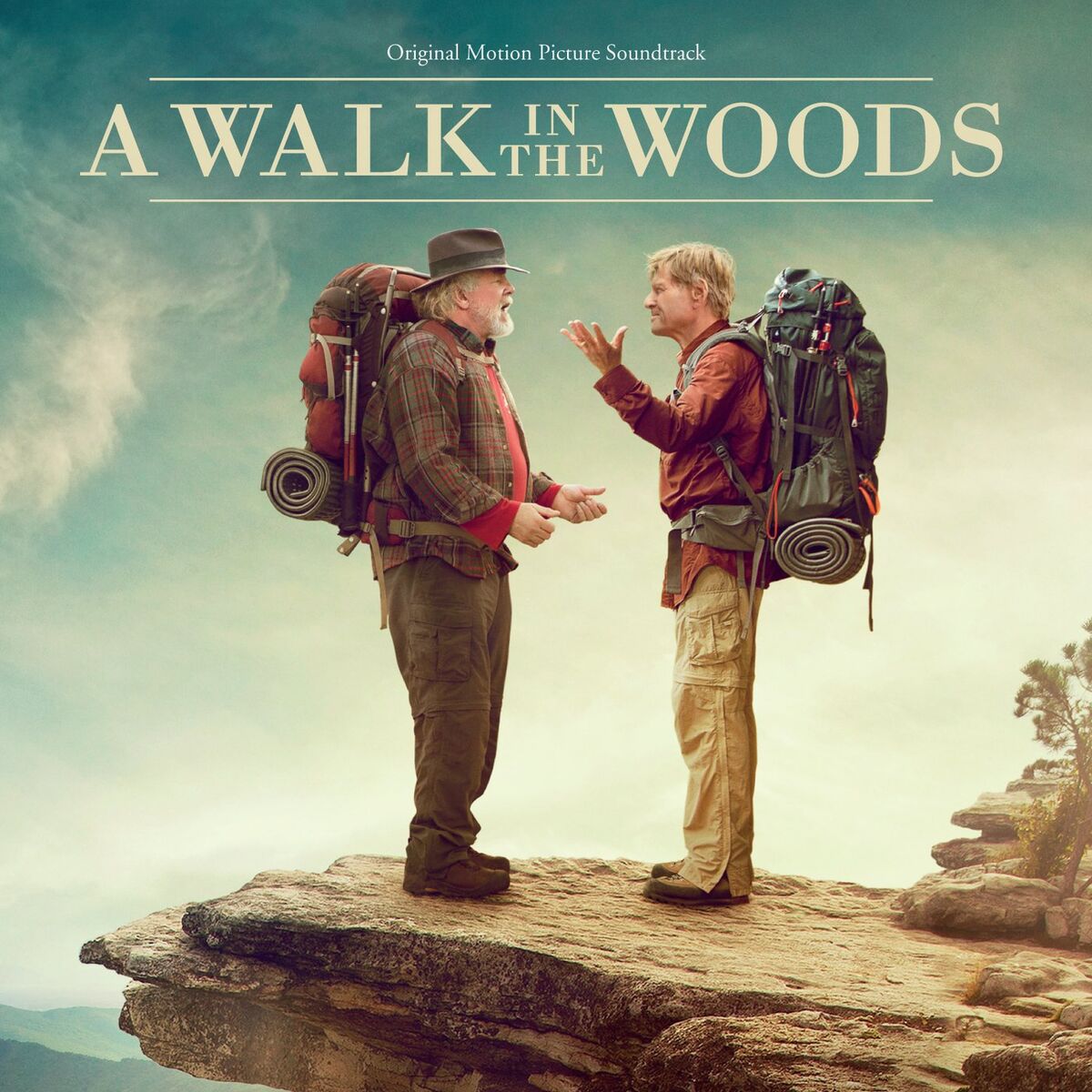 Album cover of A Walk In The Woods