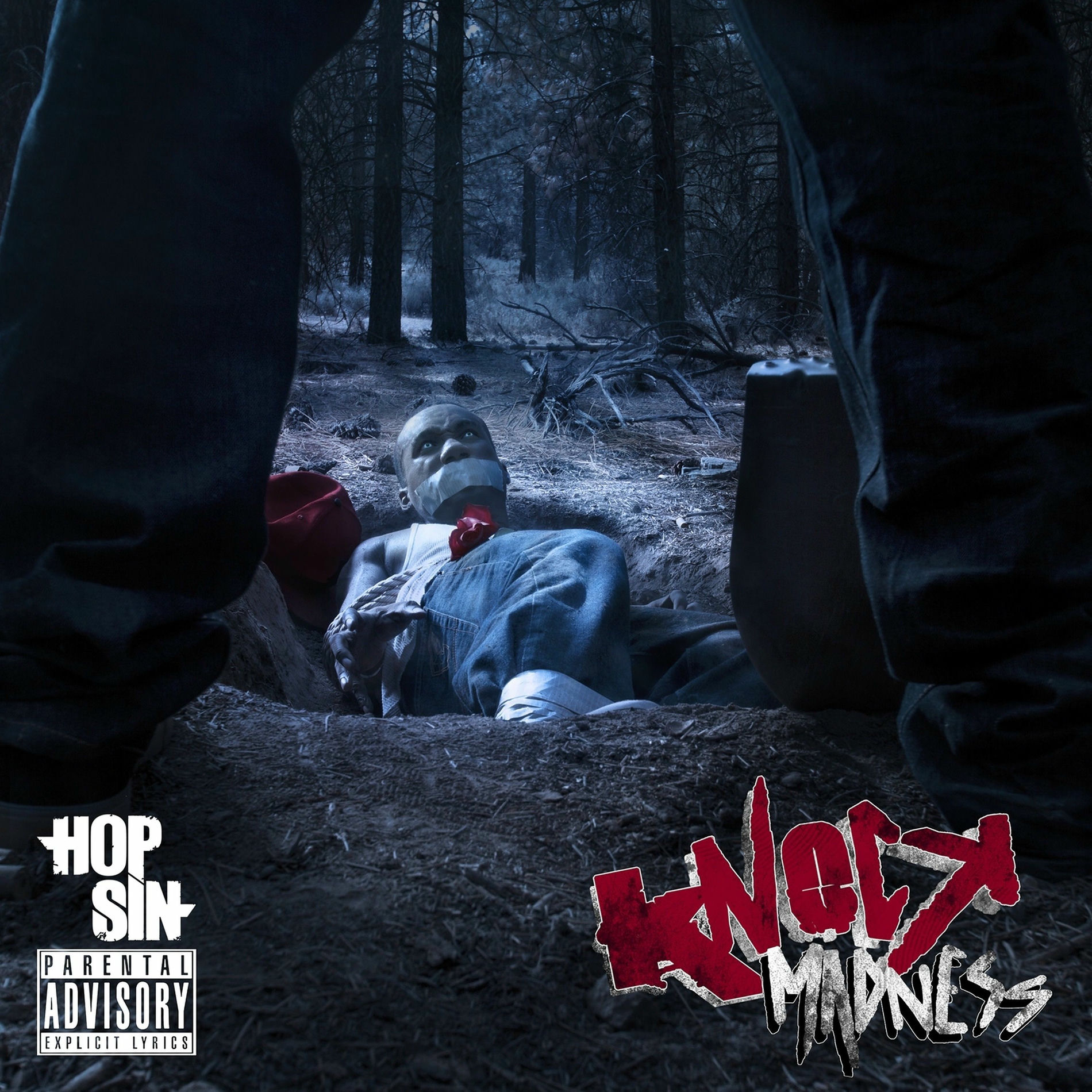 Album cover of Knock Madness