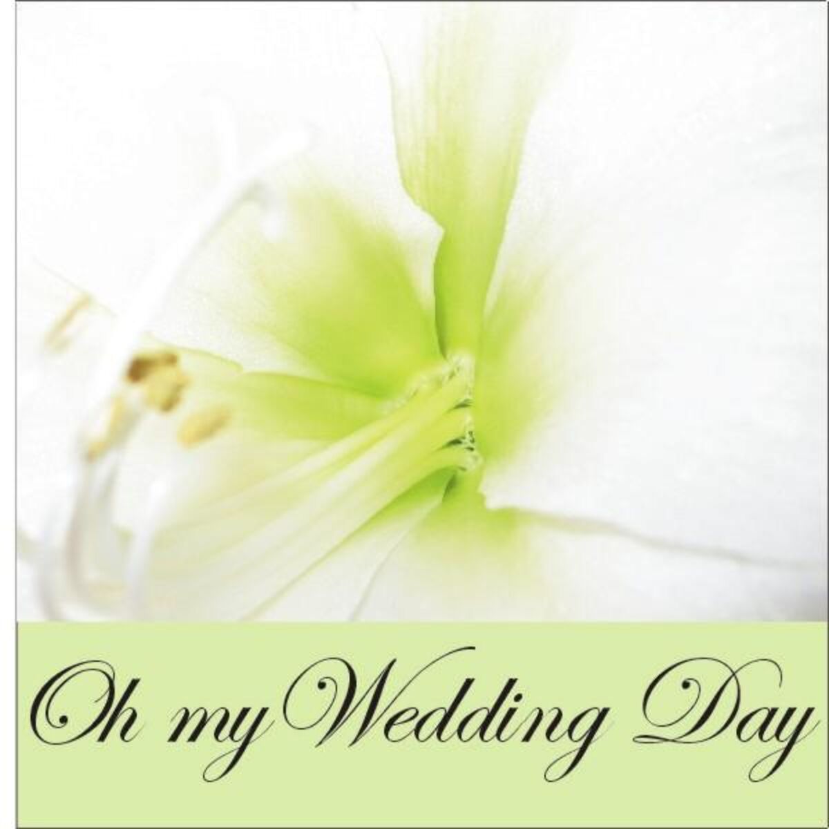 Album cover of On My Wedding Day