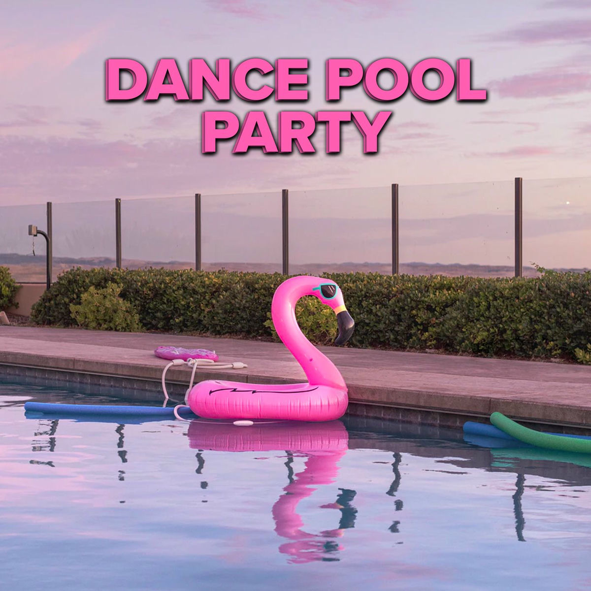 Album cover of Dance Pool Party
