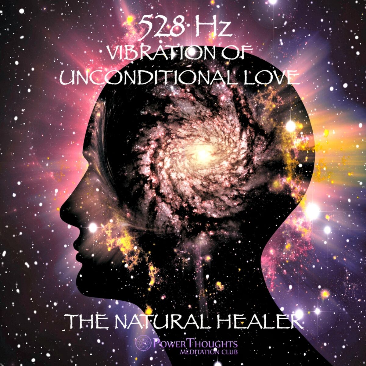 Album cover of Pure Potentiality in Human Form