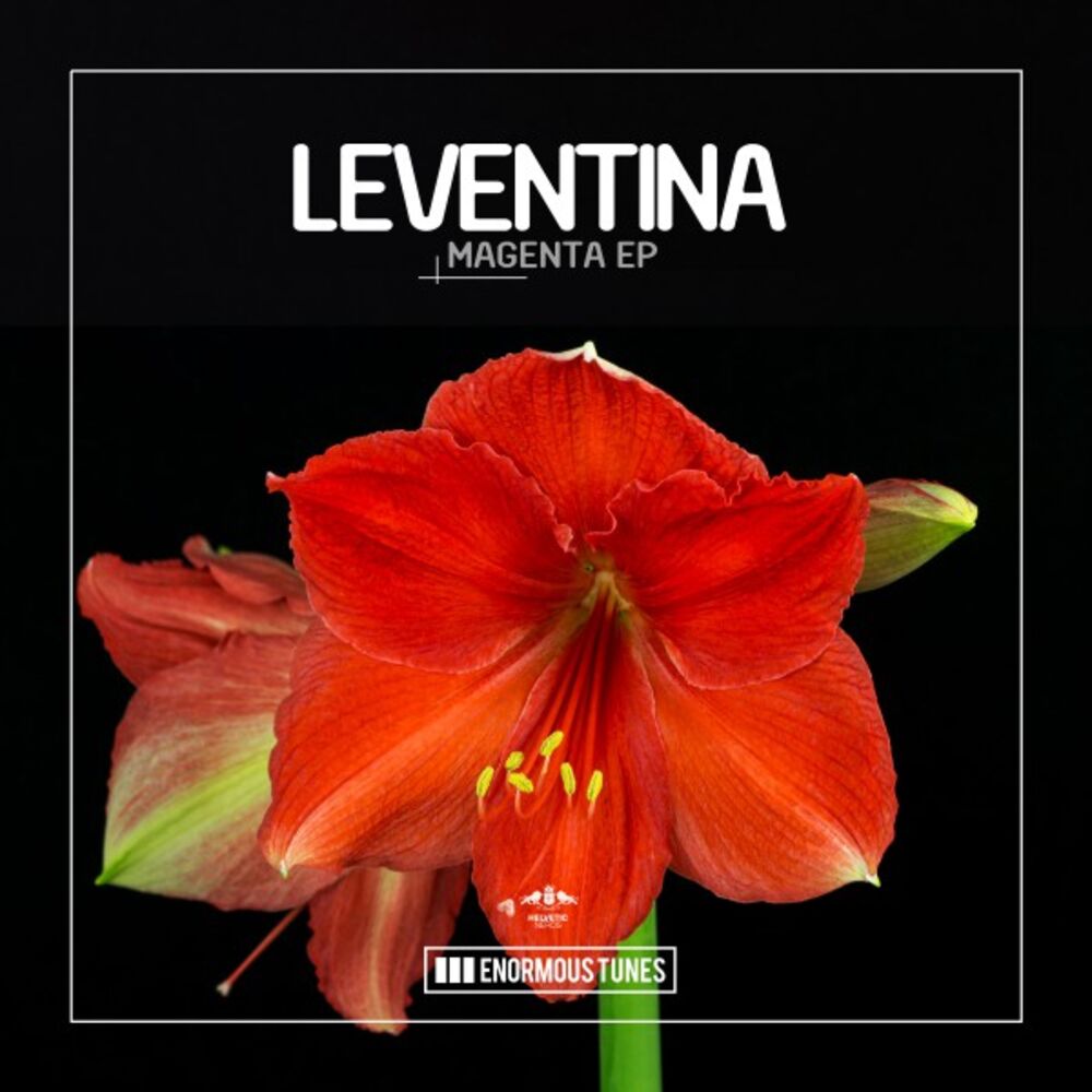 Picture of Magenta EP