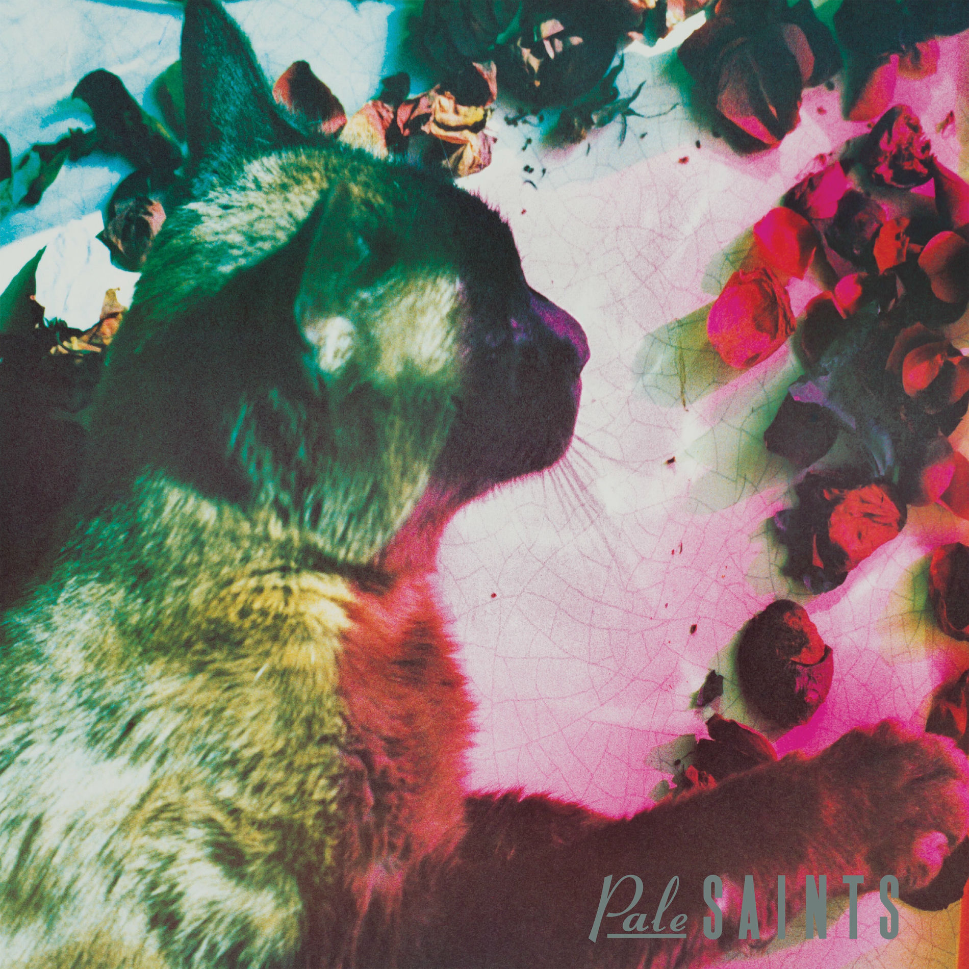 Album cover of She Rides the Waves