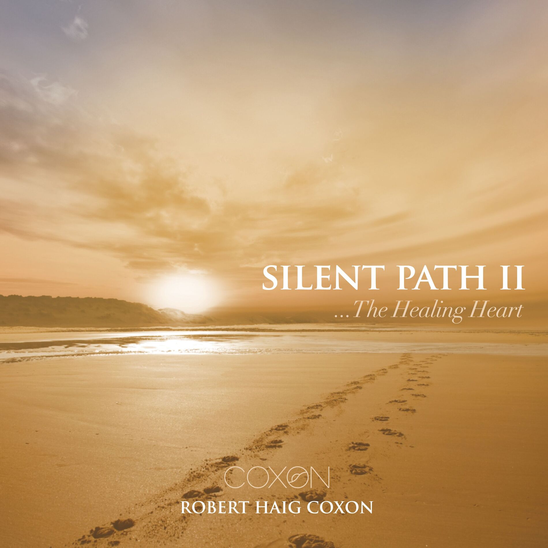 Album cover of The Healing Heart