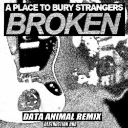 Cover of Broken (Data Animal Destruction Derby Remix)