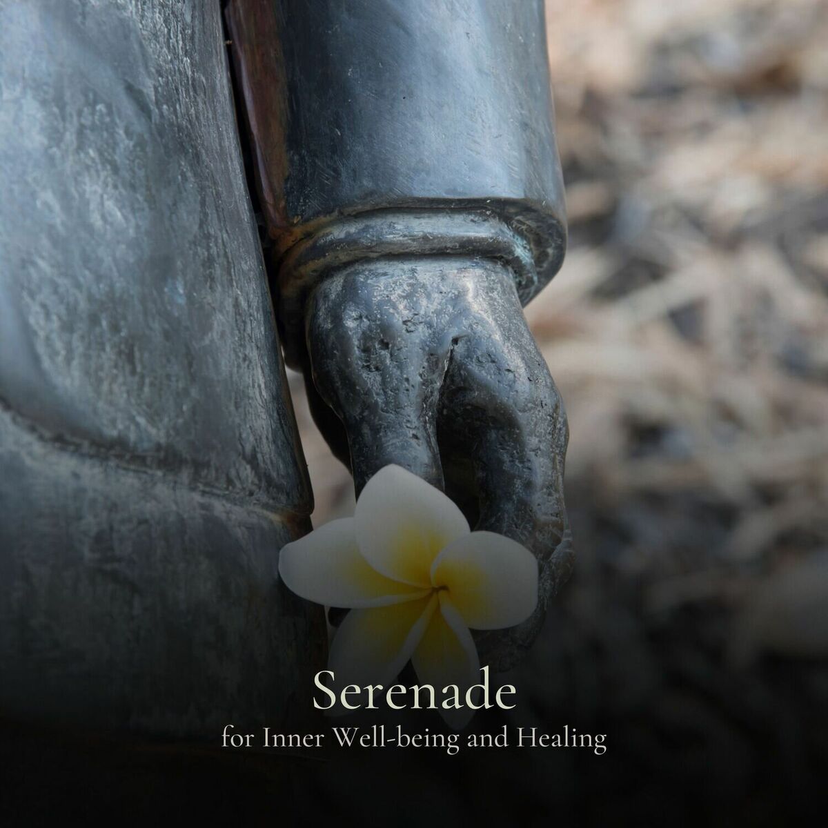 Album cover of * Serenade for Inner Well-being and Healing *