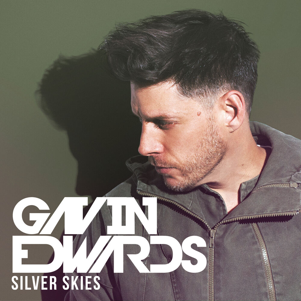 Picture of Silver Skies