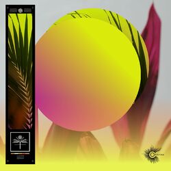 Cover of Oculta
