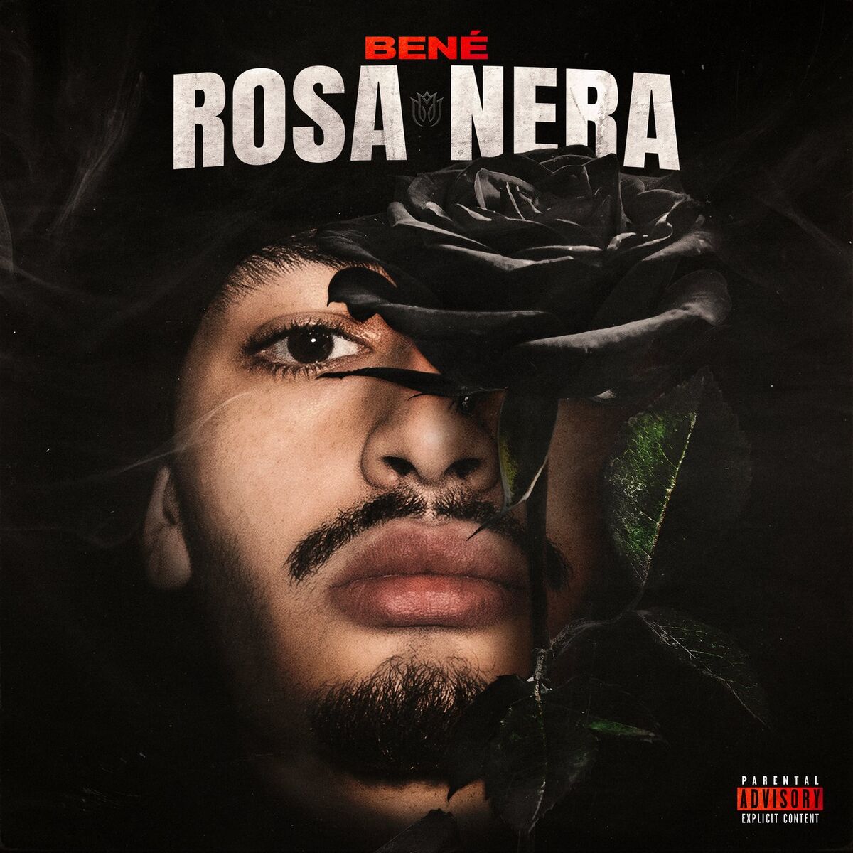 Album cover of Rosa Nera