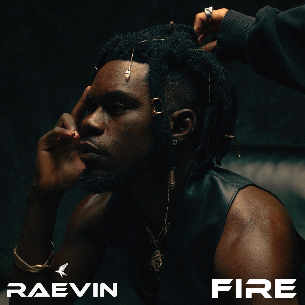 Album cover of Fire