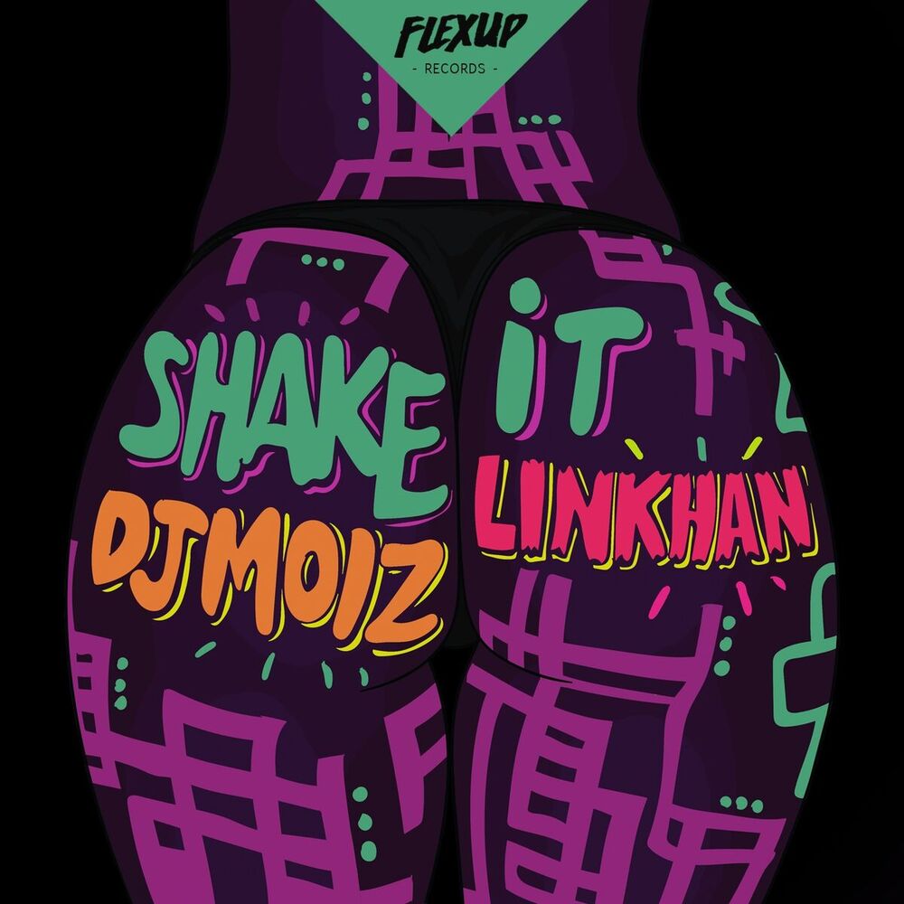 Picture of Shake It
