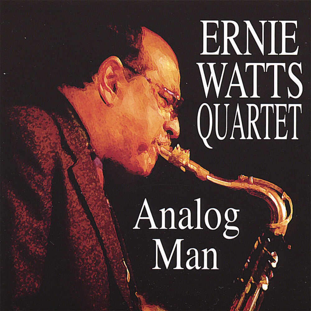 Picture of Analog Man