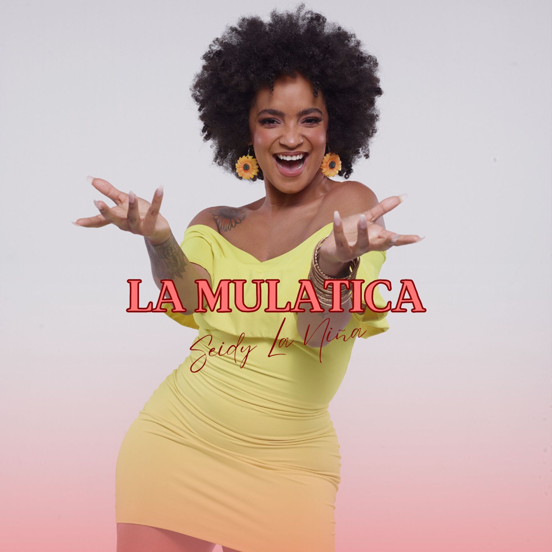 Album cover of La Mulatica