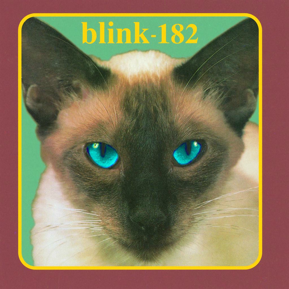 BLINK 182 / Flyswatter & Rare boot盤 希少 BLINK 182 / Flyswatter & Rare boot盤 希少 BLINK 182