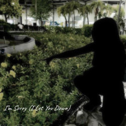 Im Sorry (I Let You Down)
