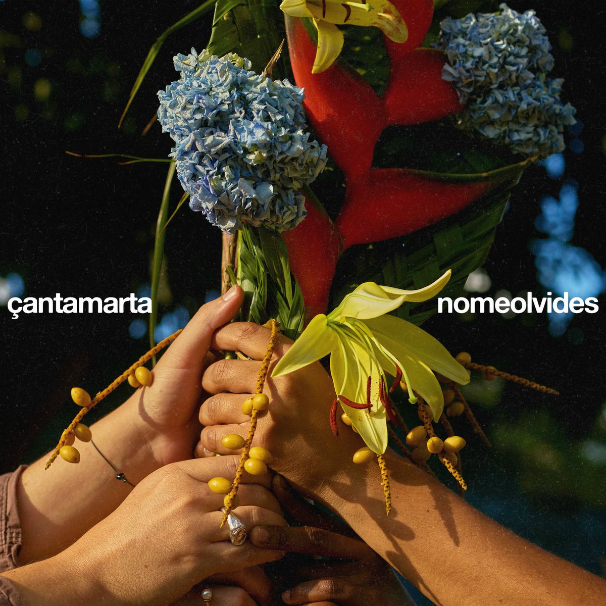 Album cover of nomeolvides