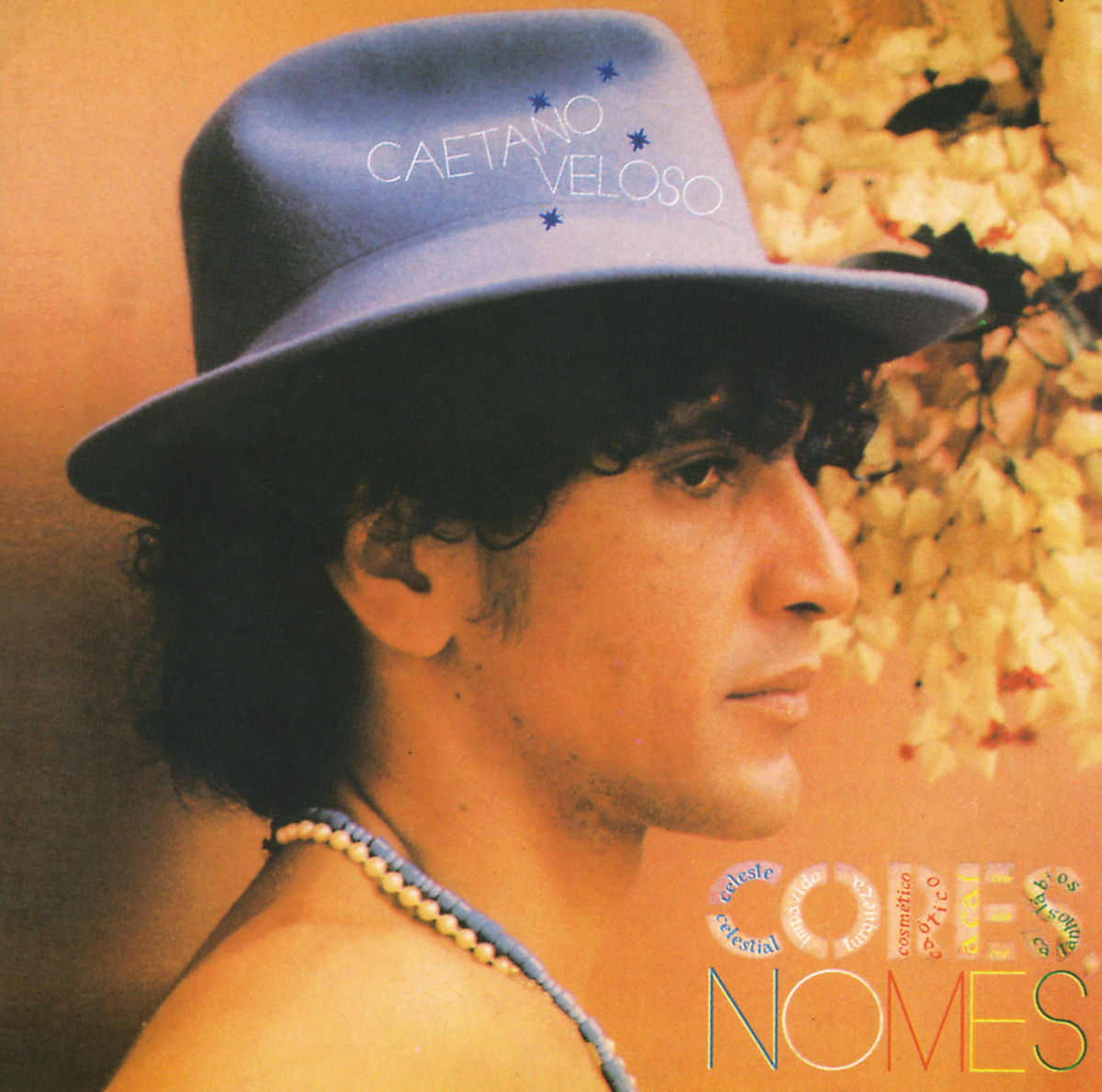 Album cover of Queixa