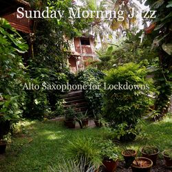 Cover of Alto Saxophone for Lockdowns