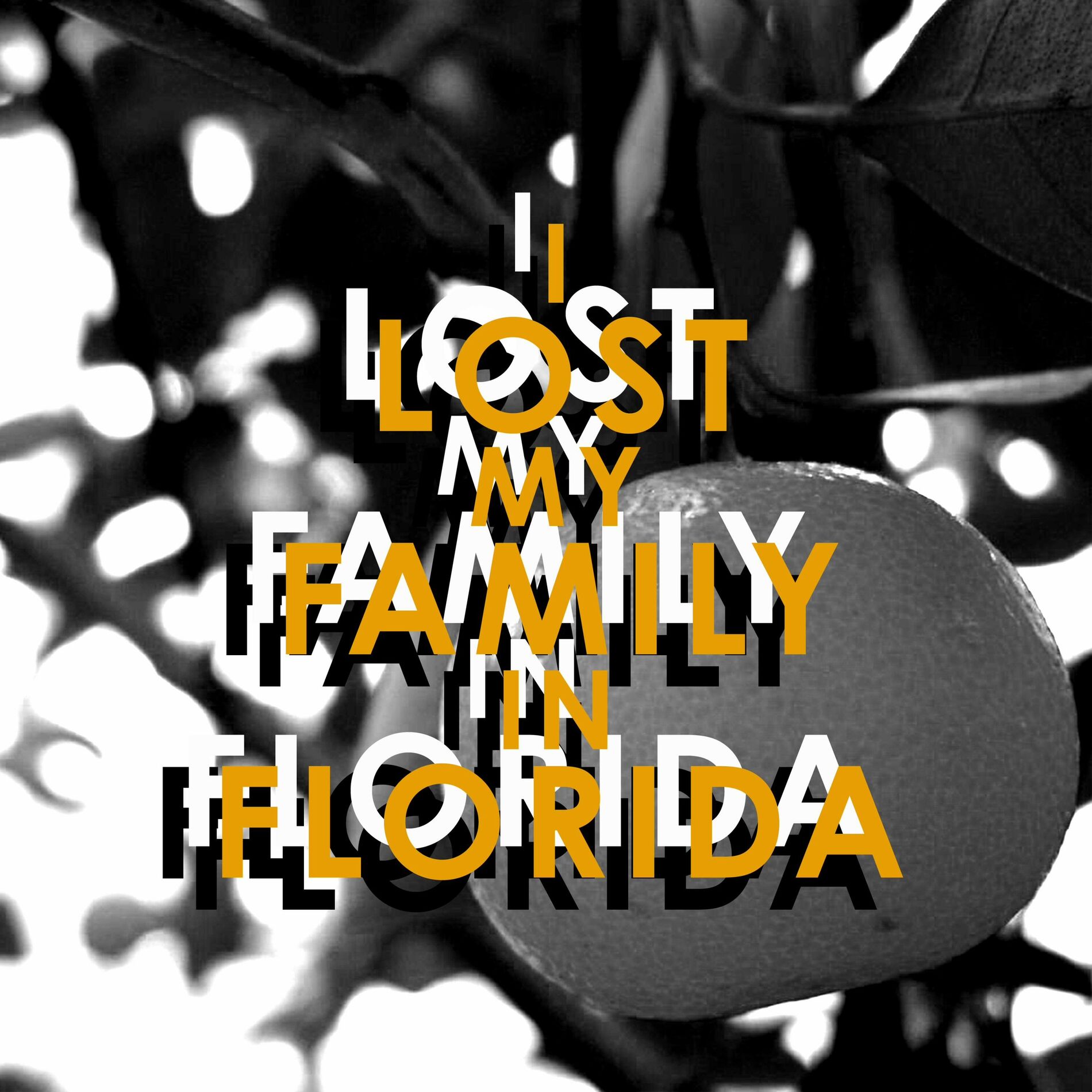 Album cover of I Lost My Family In Florida