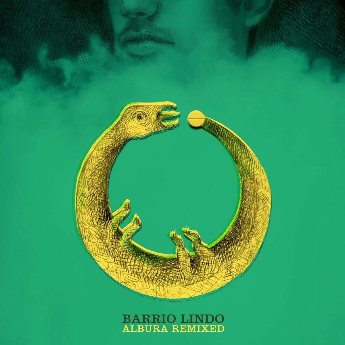 Album cover of Huanaco