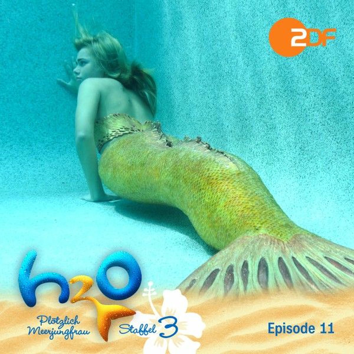 Album cover of Staffel 3, Episode 11: Rikko, der Clown (Das Original-Hörspiel zur TV-Serie)