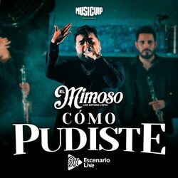 Cover of Cómo Pudiste (Parece Mentira / Cómo Pudiste / Deja) (En Vivo)