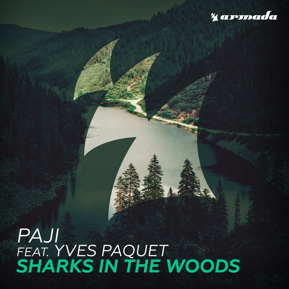 Picture of Sharks In The Woods