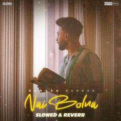 Cover of Nai Bolna (Slowed & Reverb)