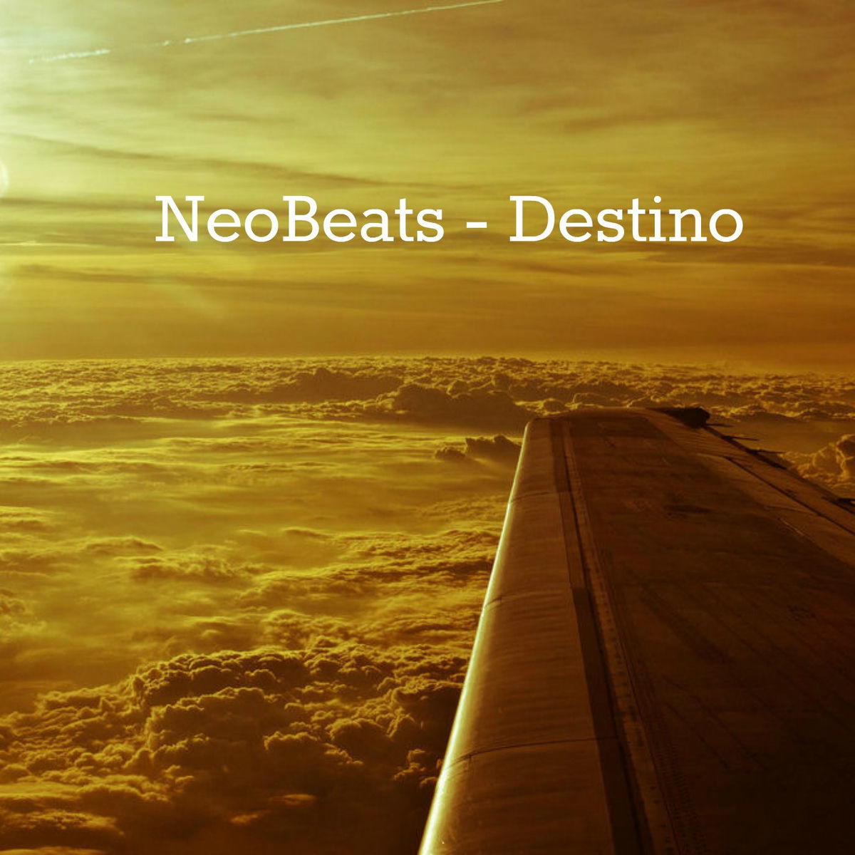 Album cover of Destino