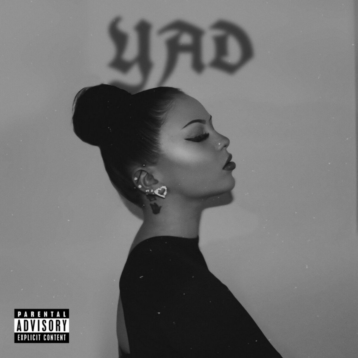Album cover of YAD
